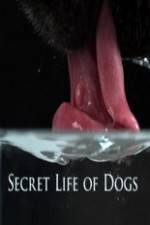 Watch Secret Life of Dog 1channel