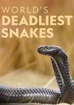 Watch World's Deadliest Snakes 1channel