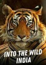 Watch Into the Wild India 1channel