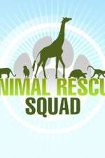 Watch Animal Rescue Squad 1channel