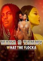 Watch Waka & Tammy: What the Flocka 1channel