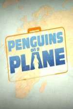 Watch Penguins on a Plane 1channel