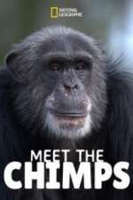 Watch Meet the Chimps 1channel