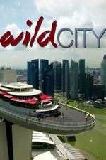 Watch Wild City 1channel