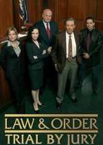 Watch Law & Order: Trial by Jury 1channel