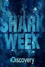 Watch Shark Week 1channel