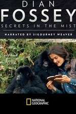 Watch Dian Fossey: Secrets in the Mist 1channel