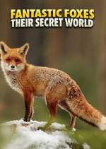 Watch Fantastic Foxes: Their Secret World 1channel