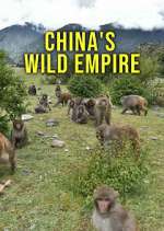 Watch China's Wild Empire 1channel