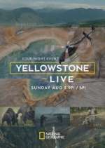 Watch Yellowstone Live 1channel