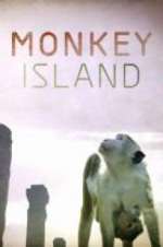 Watch Monkey Island 1channel