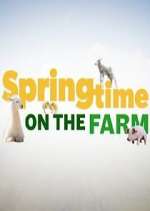 Watch Springtime on the Farm 1channel