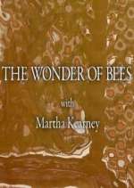 Watch The Wonder of Bees with Martha Kearney 1channel
