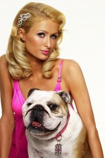 Watch Paris Hilton's British Best Friend 1channel