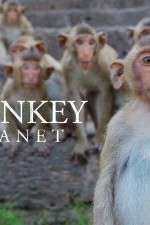 Watch Monkey Planet 1channel