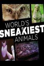 Watch World's Sneakiest Animals 1channel