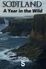 Watch Scotland: A Wild Year 1channel