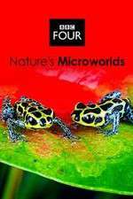 Watch Natures Microworlds 1channel