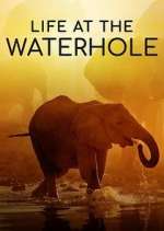 Watch Life at the Waterhole 1channel