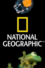 Watch Nat Geo Amazing! 1channel