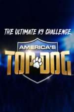 Watch America\'s Top Dog 1channel