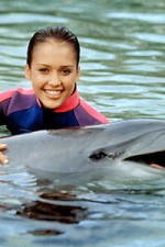 Watch Flipper (The New Adventures of Flipper) 1channel