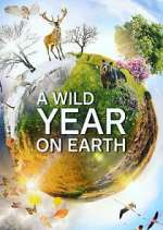 Watch A Wild Year on Earth 1channel