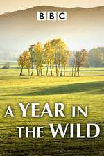 Watch A Year in the Wild 1channel