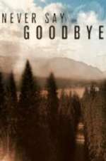 Watch Never Say Goodbye 1channel