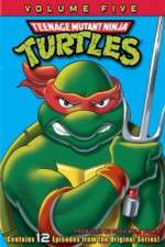 Watch Teenage Mutant Ninja Turtles 1channel