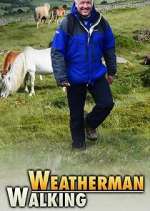 Watch Weatherman Walking 1channel