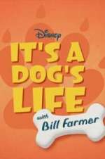 Watch It\'s a Dog\'s Life with Bill Farmer 1channel