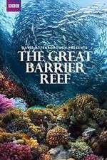 Watch Great Barrier Reef with David Attenborough 1channel