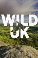 Watch Wild UK 1channel