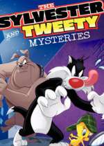 Watch The Sylvester & Tweety Mysteries 1channel