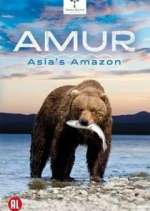 Watch Amur Asia's Amazon 1channel