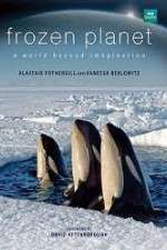 Watch Frozen Planet 1channel