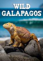 Watch Wild Galapagos 1channel
