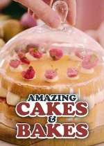 Watch Amazing Cakes & Bakes 1channel