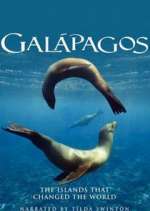 Watch Galapagos 1channel