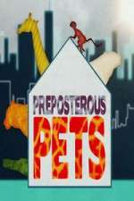 Watch Preposterous Pets 1channel