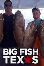 Watch Big Fish Texas 1channel