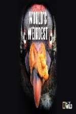 Watch National Geographic Worlds weirdest 1channel