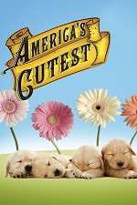 Watch America's Cutest 1channel