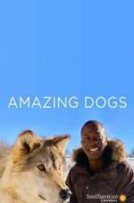 Watch Amazing Dogs 1channel