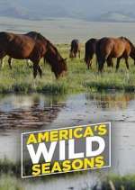 Watch America's Wild Seasons 1channel