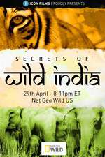 Watch Secrets of Wild India 1channel