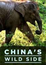 Watch China's Wild Side 1channel