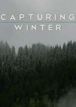 Watch Capturing Winter 1channel