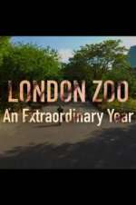 Watch London Zoo: An Extraordinary Year 1channel